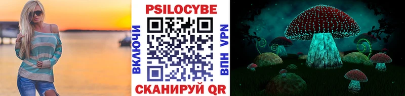 где найти наркотики  Болохово  Галлюциногенные грибы MAGIC MUSHROOMS 