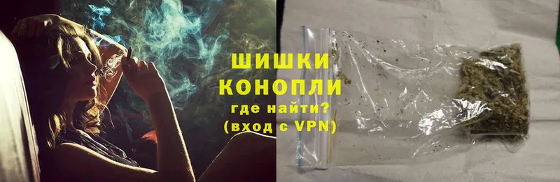 Каннабис OG Kush  Болохово 